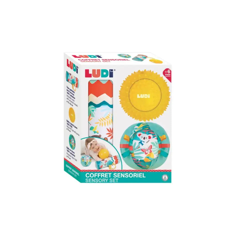 Conjunto roller y pelotas Bebés Ludi conjunto-roller-y-pelotas-bebes-divertido-sensorio-juguete-549