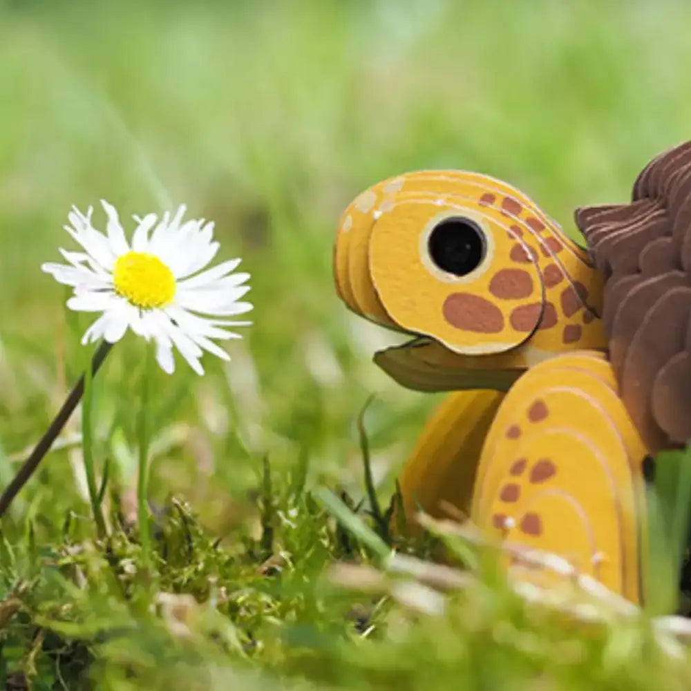 Eugy Tortoise Puzzle 3D Eugy-Dodoland eugy-tortoise-puzzle-3d-amarillo-marron-juguete-679