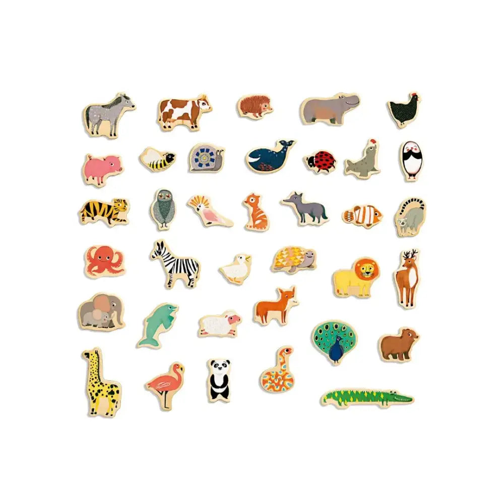 Magnéticos Magnimo Imanes Djeco magneticos-magnimo-imanes-823