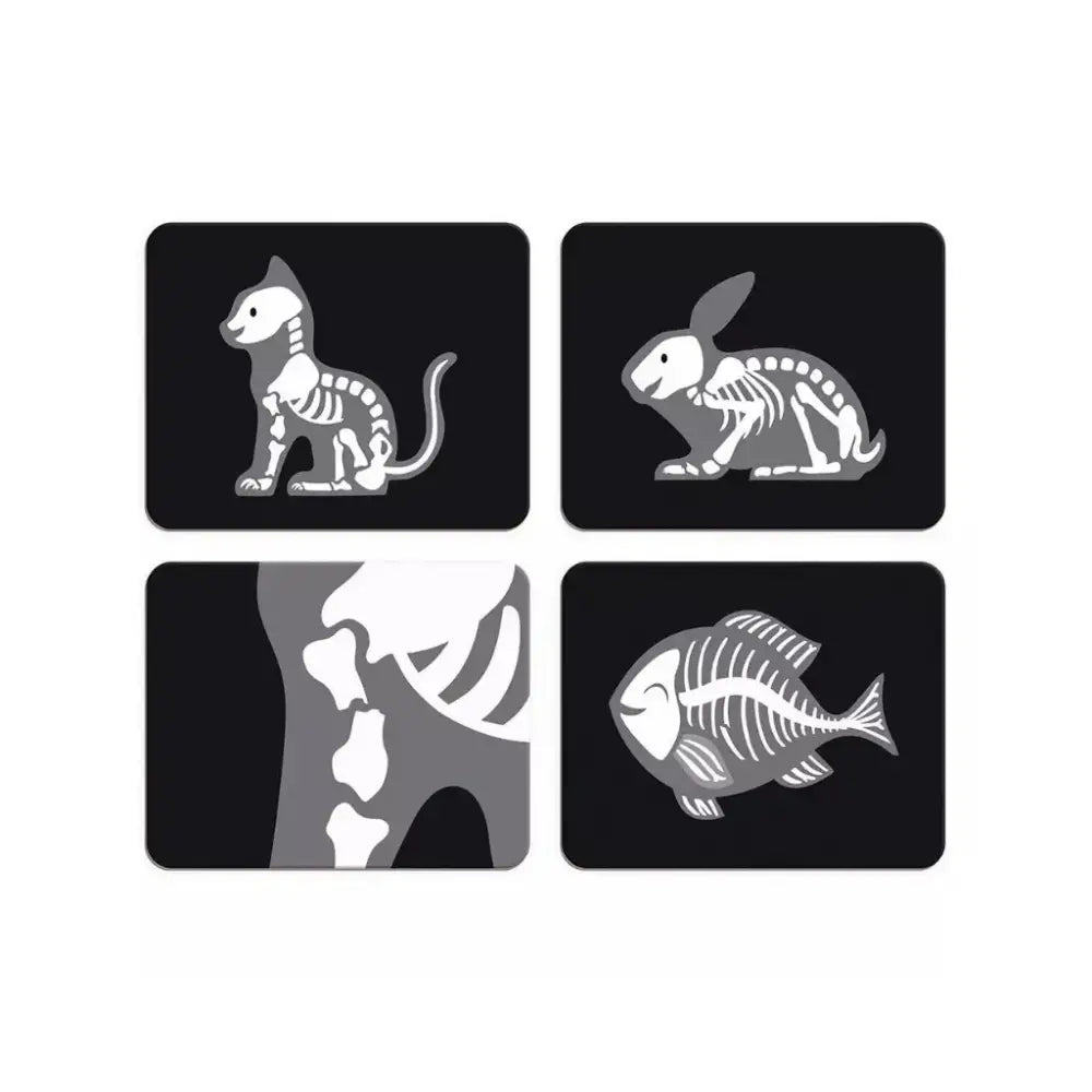 Maletín de Veterinario - Simbólico