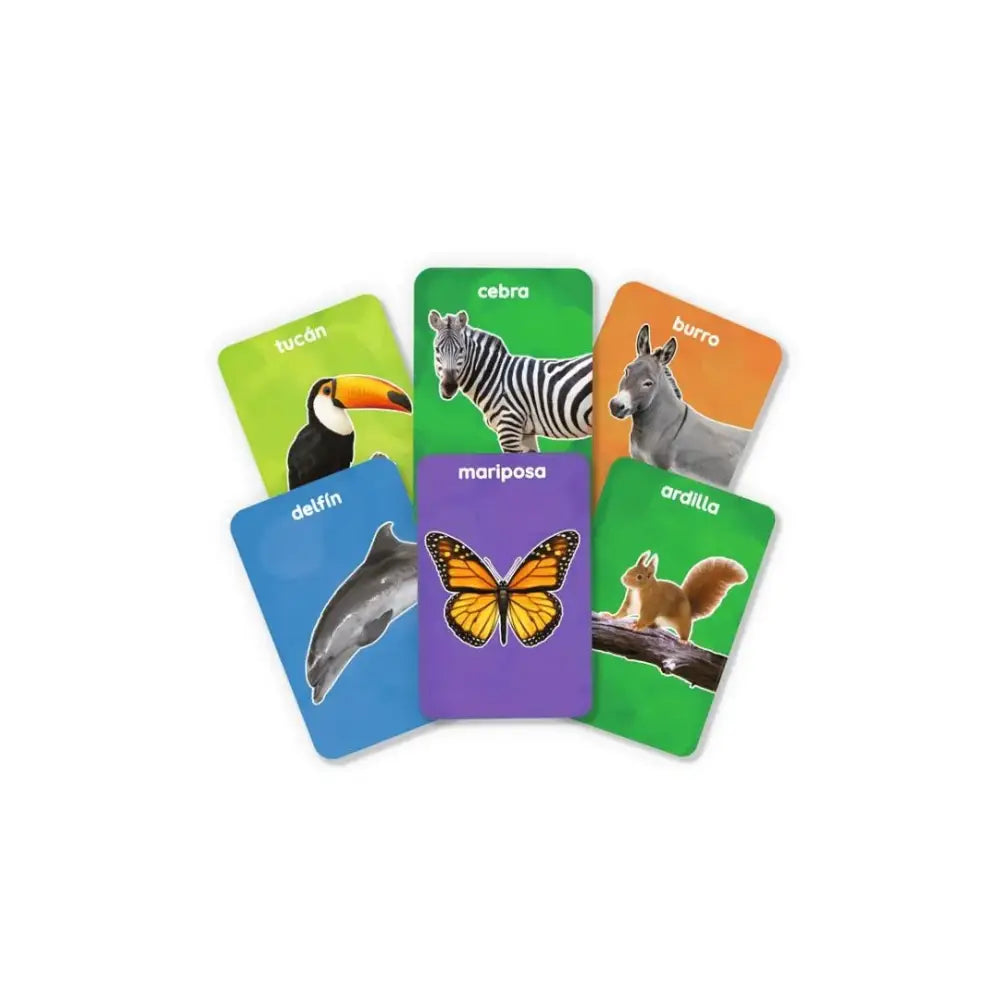 Mis primeros 100 animales Juegos de cartas SKILLMATICS mis-primeros-100-animales-juegos-de-cartas-colocar-vistoso-animal-685