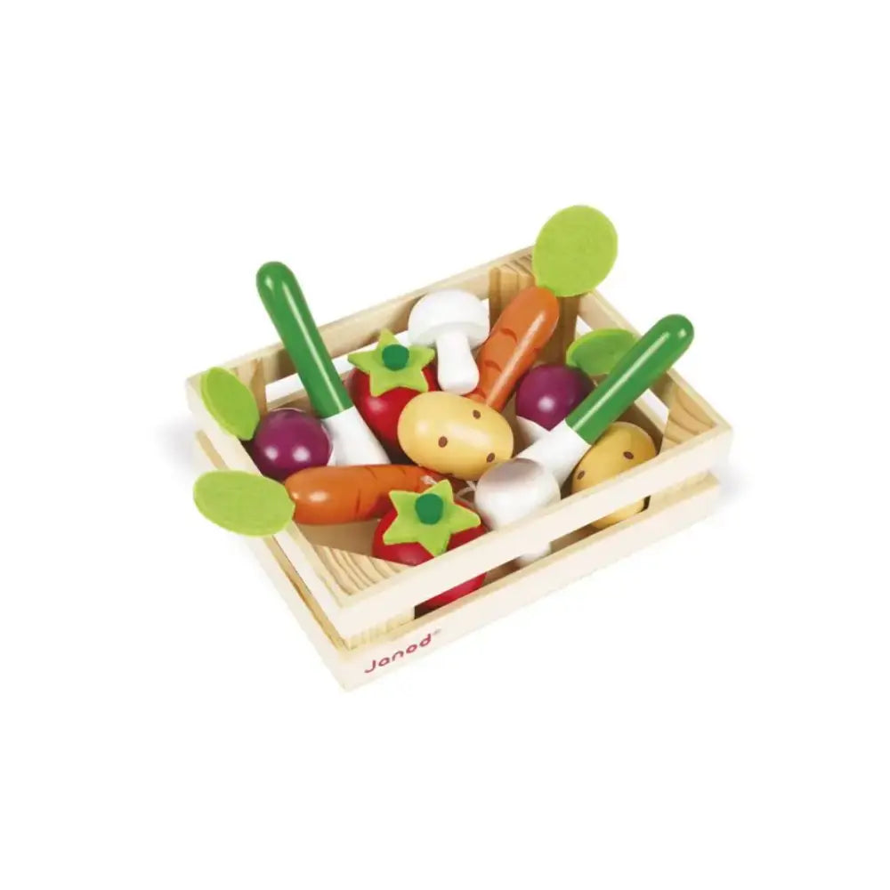 Set de 12 Verduras Simbólico Janod set-de-12-verduras-simbolico-madera-caja-completado-116