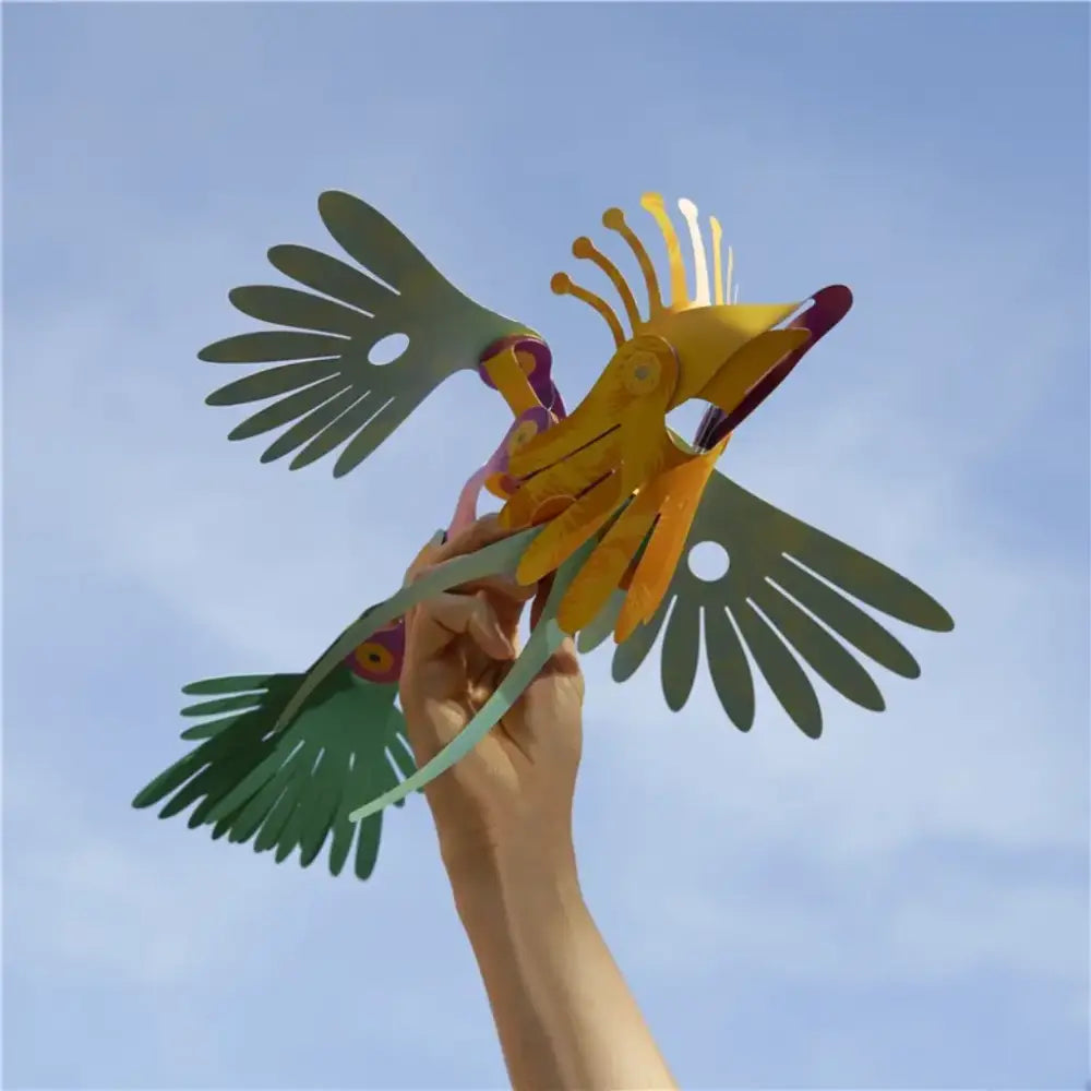 Tropical Birds - Magnéticos