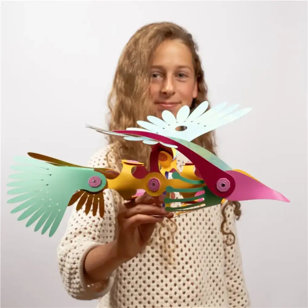 Tropical Birds - Magnéticos