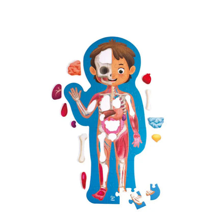 Cuerpo Humano Hape cuerpo-humano-educativo-anatomia-rompecabezas-133