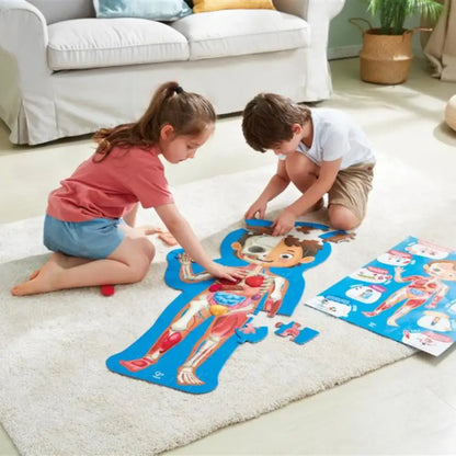 Cuerpo Humano Hape cuerpo-humano-ninos-925