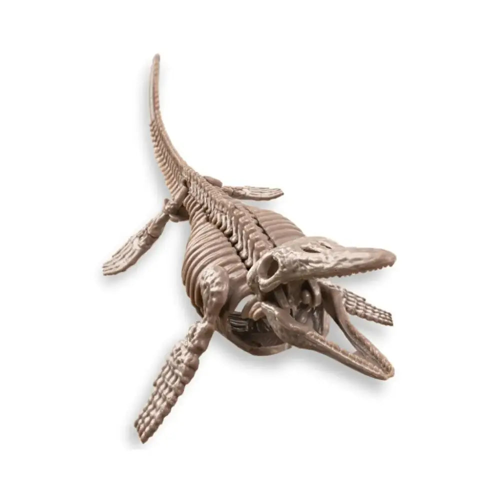 Kit Geológico - Mosasaurus Ciencias y Teconología 4M desentierra-tu-propio-mosasaurus-en-mukkies-lanzarote-ciencias-y-teconologia-plesiosauro-577