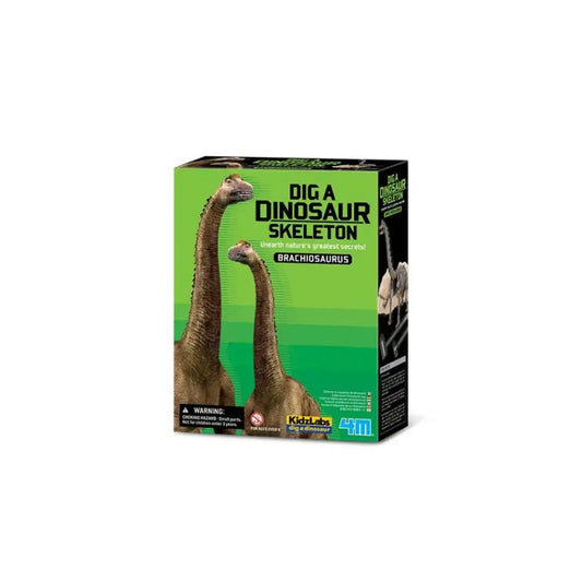 Kit Geológico - Brachiosaurus
