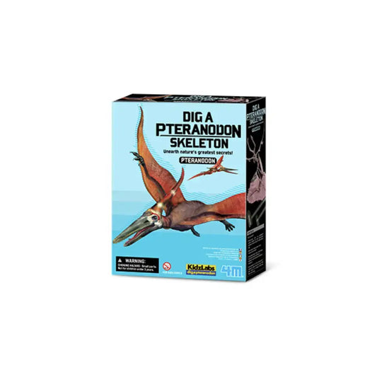 Kit Geológico - Pteranodon