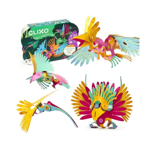 Tropical Birds - Magnéticos